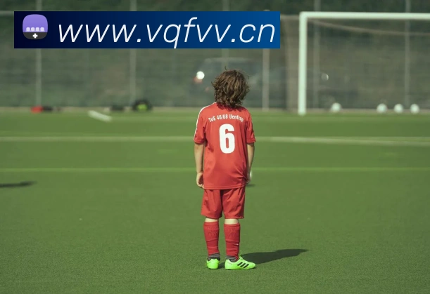 乐鱼在线登录官方网站APP 封面图